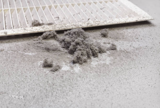 Best Local Air Duct Cleaning Services  in Emmetsburg, IA