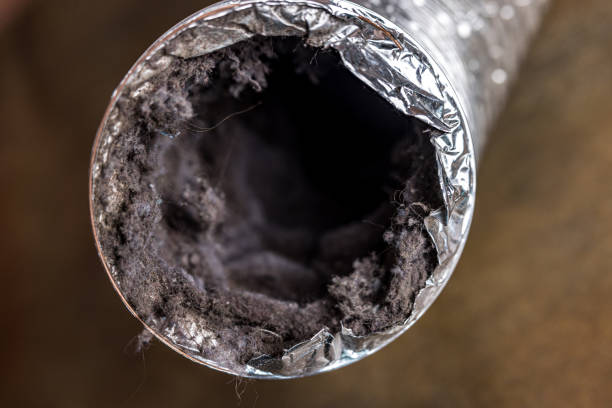 Best Commercial Air Duct Cleaning  in Emmetsburg, IA