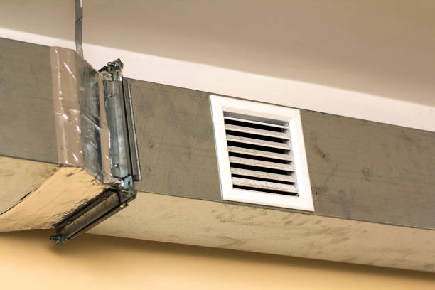 Best Home Air Vent Cleaning  in Emmetsburg, IA